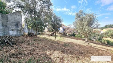 Moradia T2 Isolada com Terreno Murado de 800 m² e Poço – Aldeia do Cano | Cercal do Alentejo