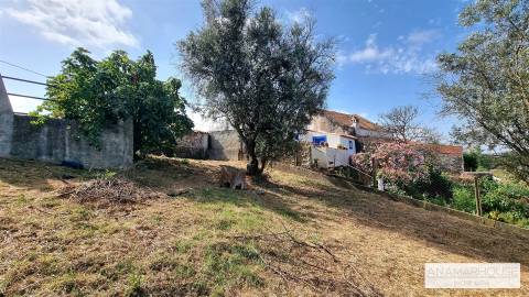 Moradia T2 Isolada com Terreno Murado de 800 m² e Poço – Aldeia do Cano | Cercal do Alentejo