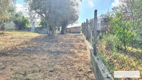 Moradia T2 Isolada com Terreno Murado de 800 m² e Poço – Aldeia do Cano | Cercal do Alentejo