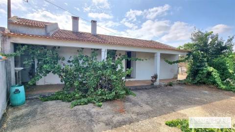 Moradia T2 Isolada com Terreno Murado de 800 m² e Poço – Aldeia do Cano | Cercal do Alentejo