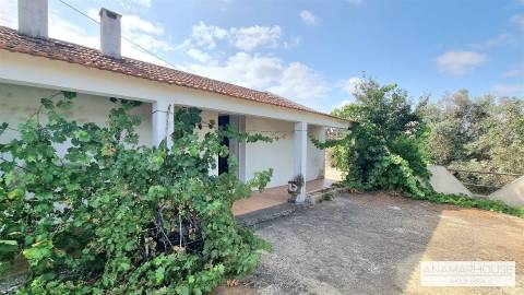 Moradia T2 Isolada com Terreno Murado de 800 m² e Poço – Aldeia do Cano | Cercal do Alentejo