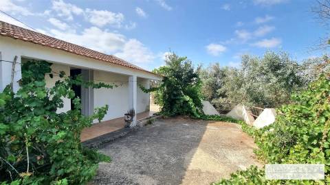 Moradia T2 Isolada com Terreno Murado de 800 m² e Poço – Aldeia do Cano | Cercal do Alentejo