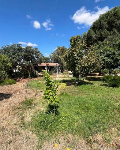 Moradia Isolada T3 Venda em Palmela,Palmela