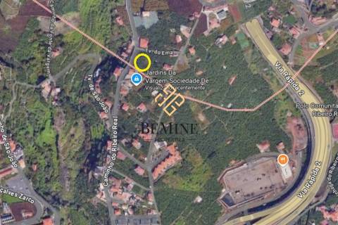 Elite Ribeiro Real  / Apartamento T3 / Câmara de Lobos - Ilha da Madeira