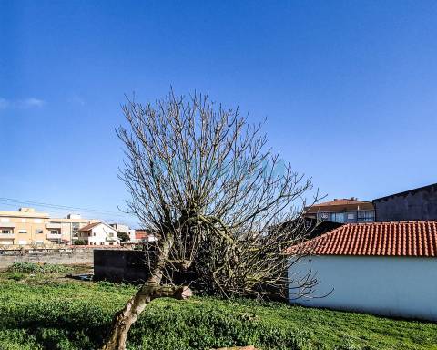 Terreno em Apúlia