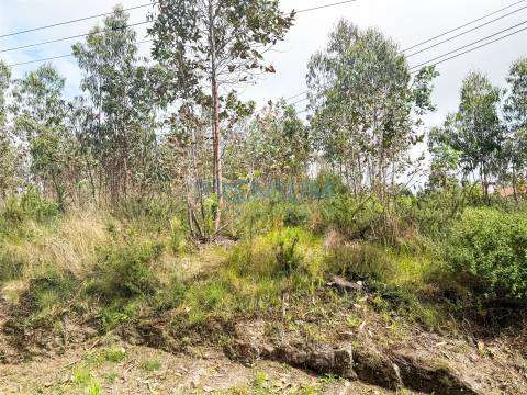 Terreno  Venda em Perelhal,Barcelos