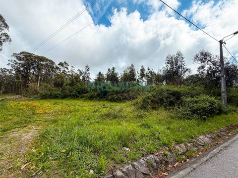 Terreno  Venda em Perelhal,Barcelos