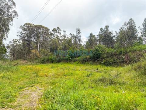 Terreno  Venda em Perelhal,Barcelos
