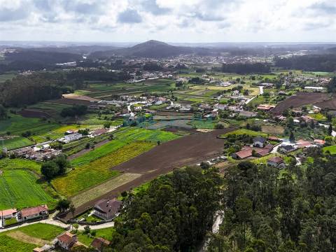 Lote de Terreno  Venda em Creixomil e Mariz,Barcelos