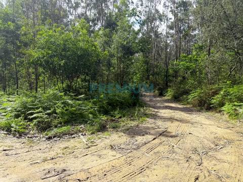 Lote de Terreno  Venda em Creixomil e Mariz,Barcelos