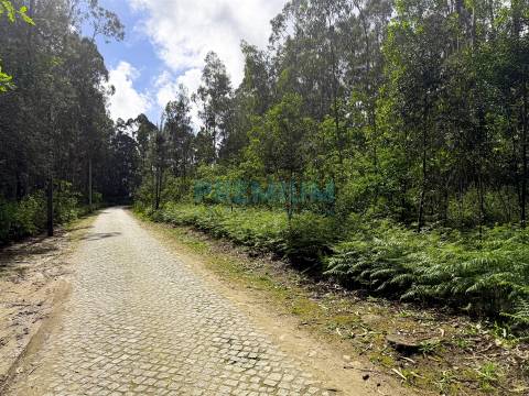 Lote de Terreno  Venda em Creixomil e Mariz,Barcelos