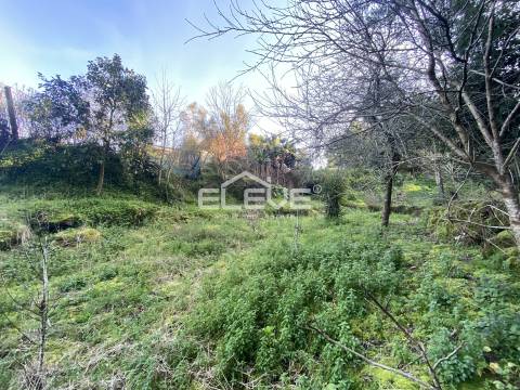Casa de Campo em Venade