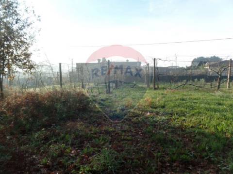 Terreno  para venda
