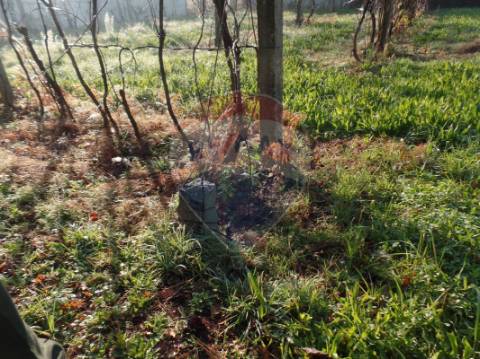 Terreno  para venda