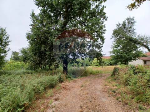 Terreno  para venda