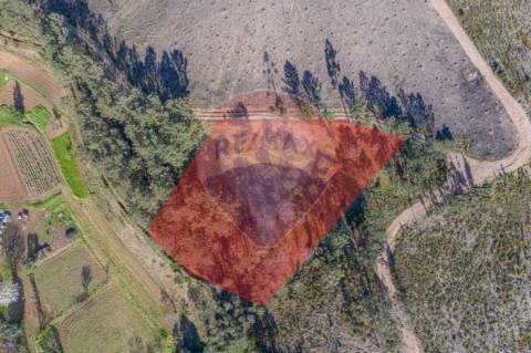 Terreno  para venda