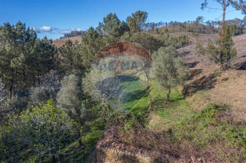 Terreno  para venda