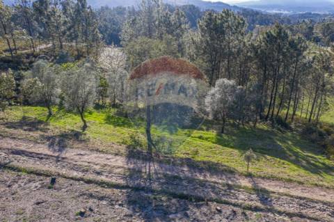 Terreno  para venda