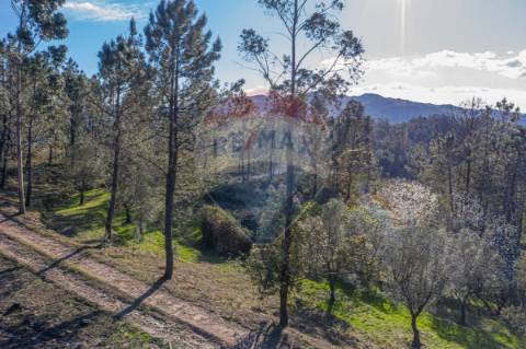 Terreno  para venda