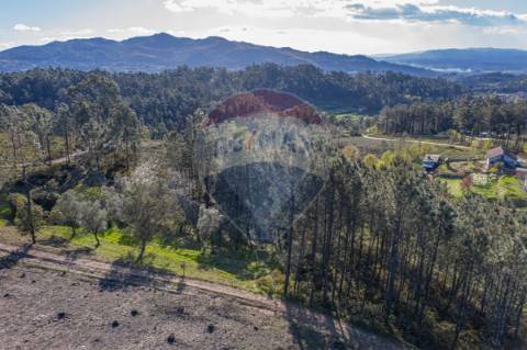 Terreno  para venda