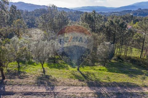 Terreno  para venda