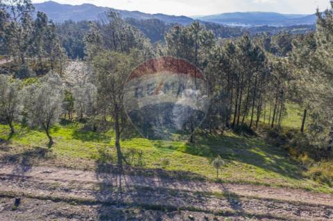 Terreno  para venda