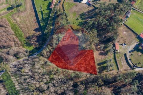 Terreno  para venda