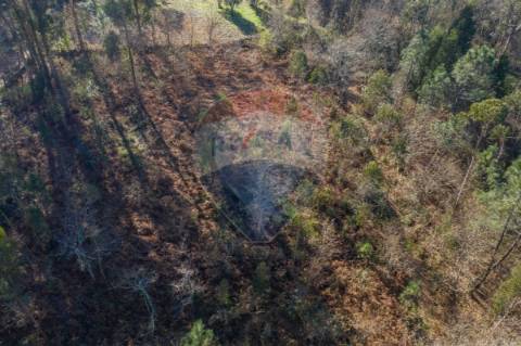 Terreno  para venda