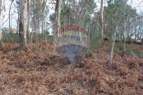 Terreno  para venda