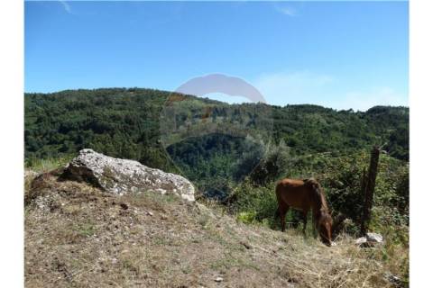 Terreno  para venda