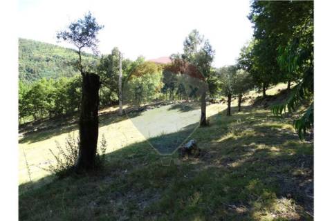 Terreno  para venda