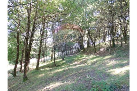 Terreno  para venda