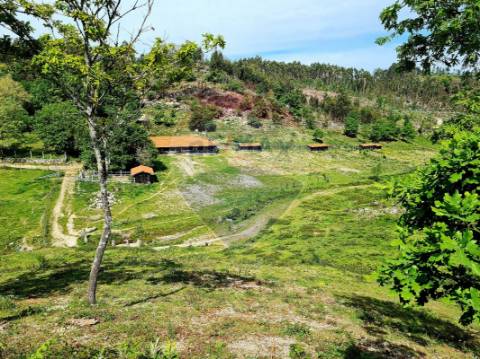 Terreno  para venda