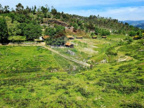 Terreno  para venda