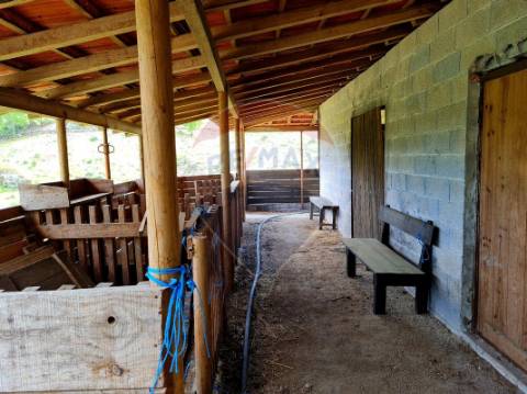Terreno  para venda