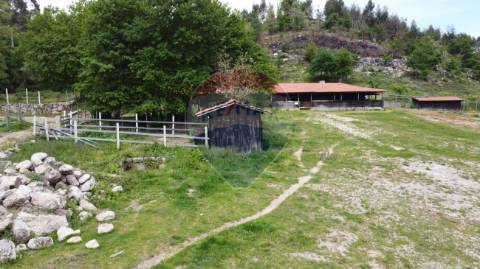 Terreno  para venda