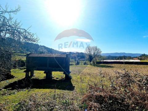Terreno  para venda