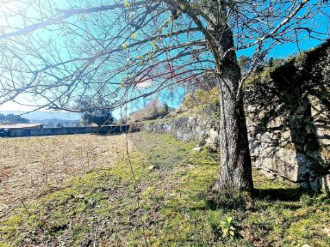 Terreno  para venda