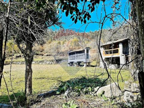 Terreno  para venda
