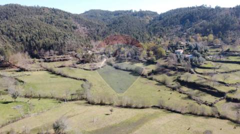 Terreno  para venda