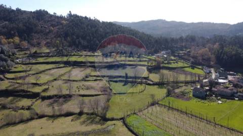 Terreno  para venda