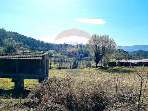 Terreno  para venda