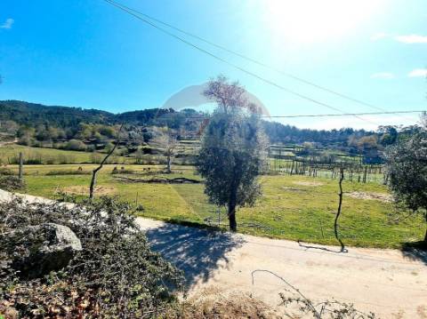 Terreno  para venda
