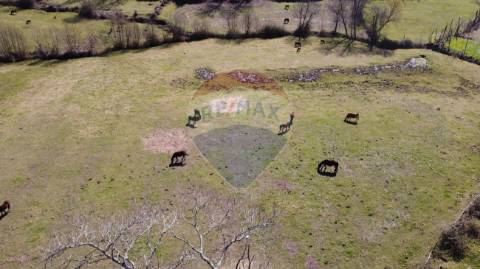 Terreno  para venda
