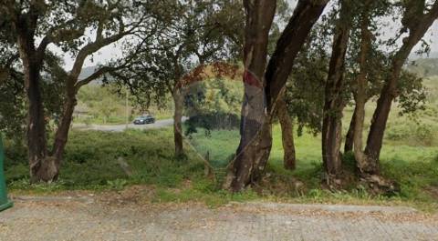 Terreno  para venda