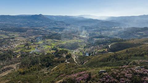 Terreno  para venda