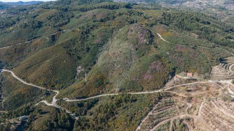 Terreno  para venda