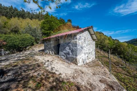 Terreno  para venda