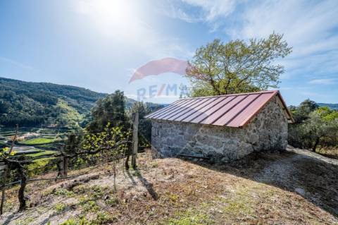 Terreno  para venda