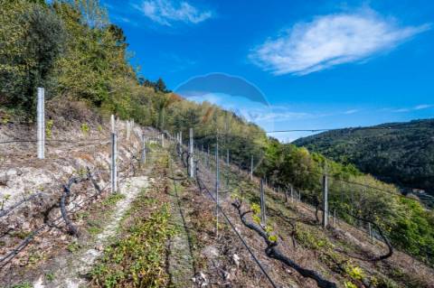 Terreno  para venda